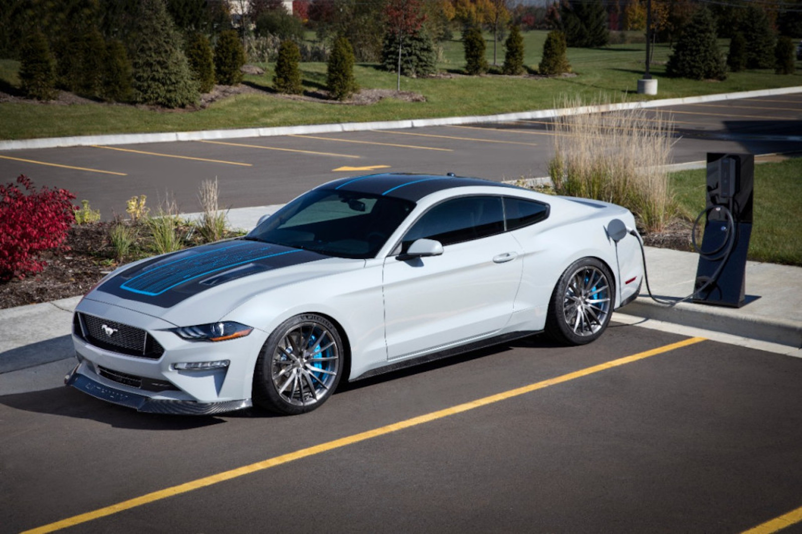 Ford Mustang Lithium Charging