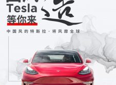 Tesla Modelos Chinos Exclusivos 4