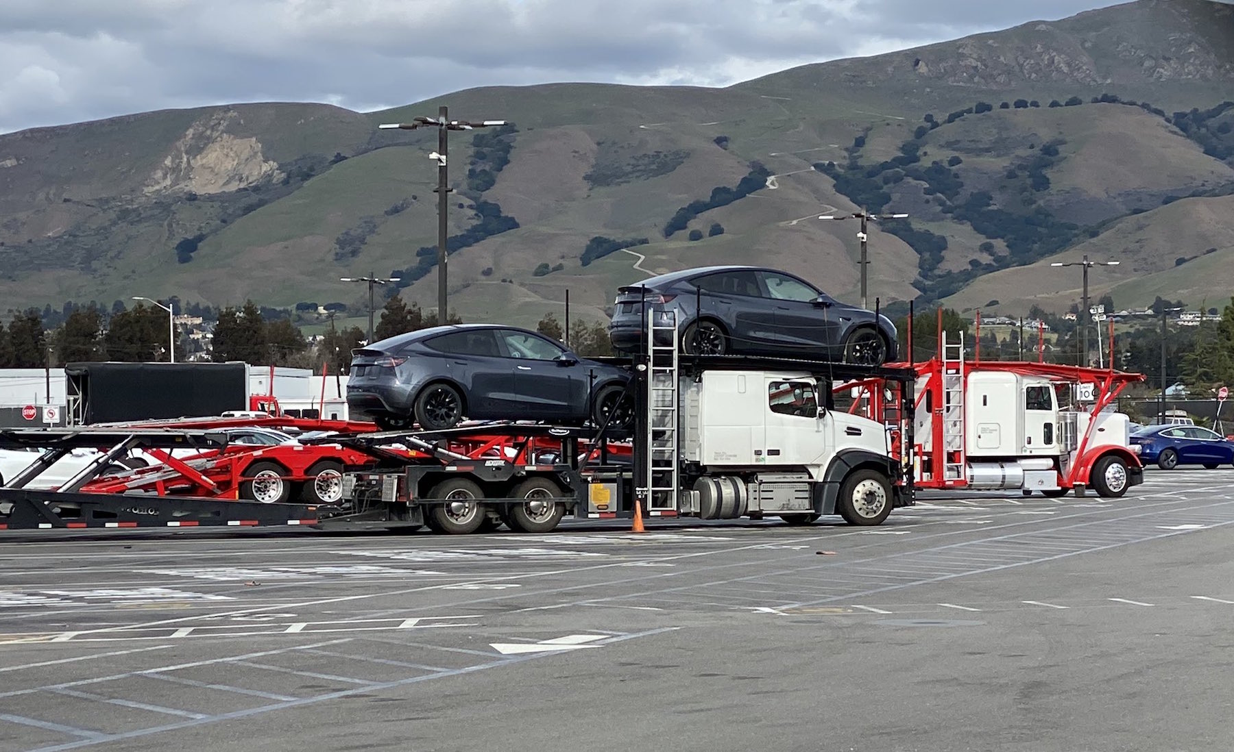 Tesla Modely Truck