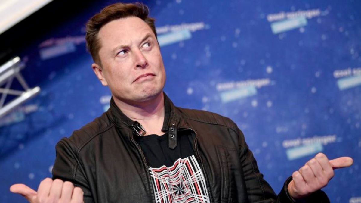 Tesla Elon Musk Shrug