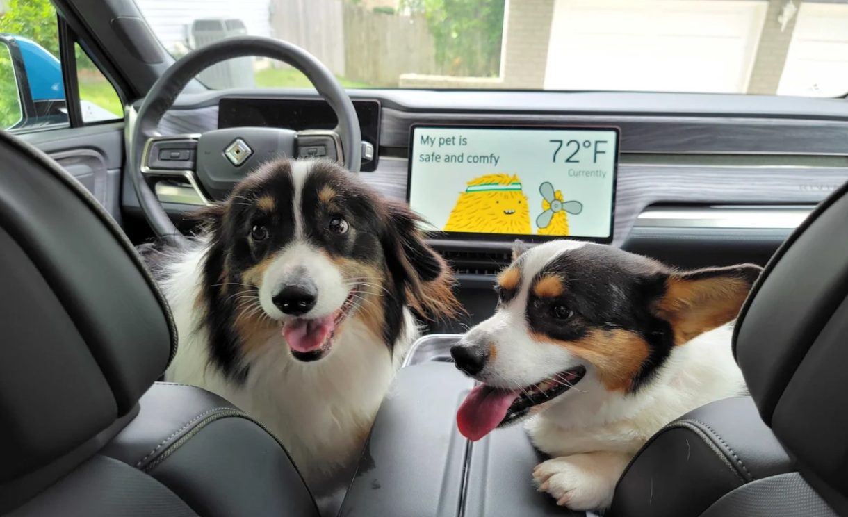 Rivian añade vía software una nueva función para el cuidado de mascotas
