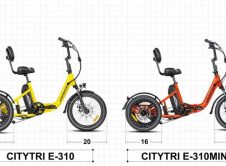 Triciclo Electrico Cititri E 310 (5)