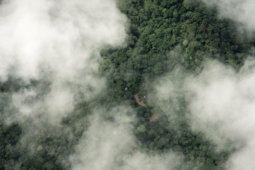 Amazonas Selva Tropical 0 960x640