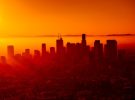 Cómo las ciudades del mundo afrontan la crisis urbana del calor extremo