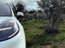 El olivo será parte de tu nuevo Ford, una manera de hacer más sostenible tu coche