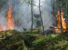 La tecnología y la inteligencia artificial revolucionan la lucha contra los incendios forestales