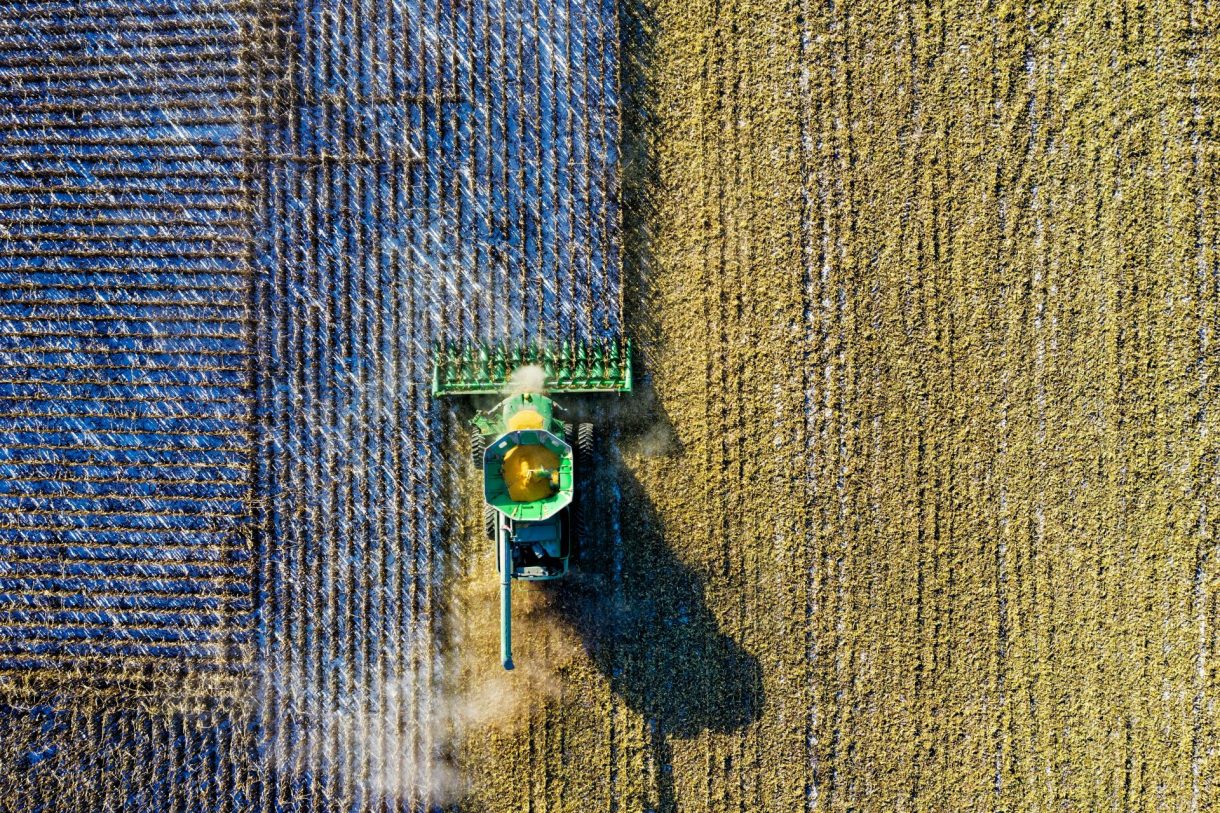 Penalización por el precio del gas: Los agricultores británicos pagan 1.400 millones de libras en fertilizantes desde la invasión rusa de Ucrania