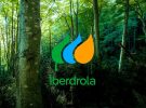 Iberdrola invierte en lo seguro: redes eléctricas y expansión en EE.UU ante la volatilidad del mercado verde
