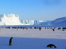 Salto récord de temperatura en la Antártida suscita temores de catástrofe global