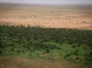 La Gran Muralla Verde: ¿Esperanza verdadera o simple espejismo en el Sahel?