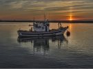 Cómo los cultivadores de algas marinas en Escocia buscan revolucionar el mercado