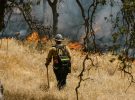 El impacto de los incendios en Canadá: $10 mil millones en pérdidas y más por venir