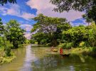 Los bosques tropicales: el gran aire acondicionado natural que enfría el planeta