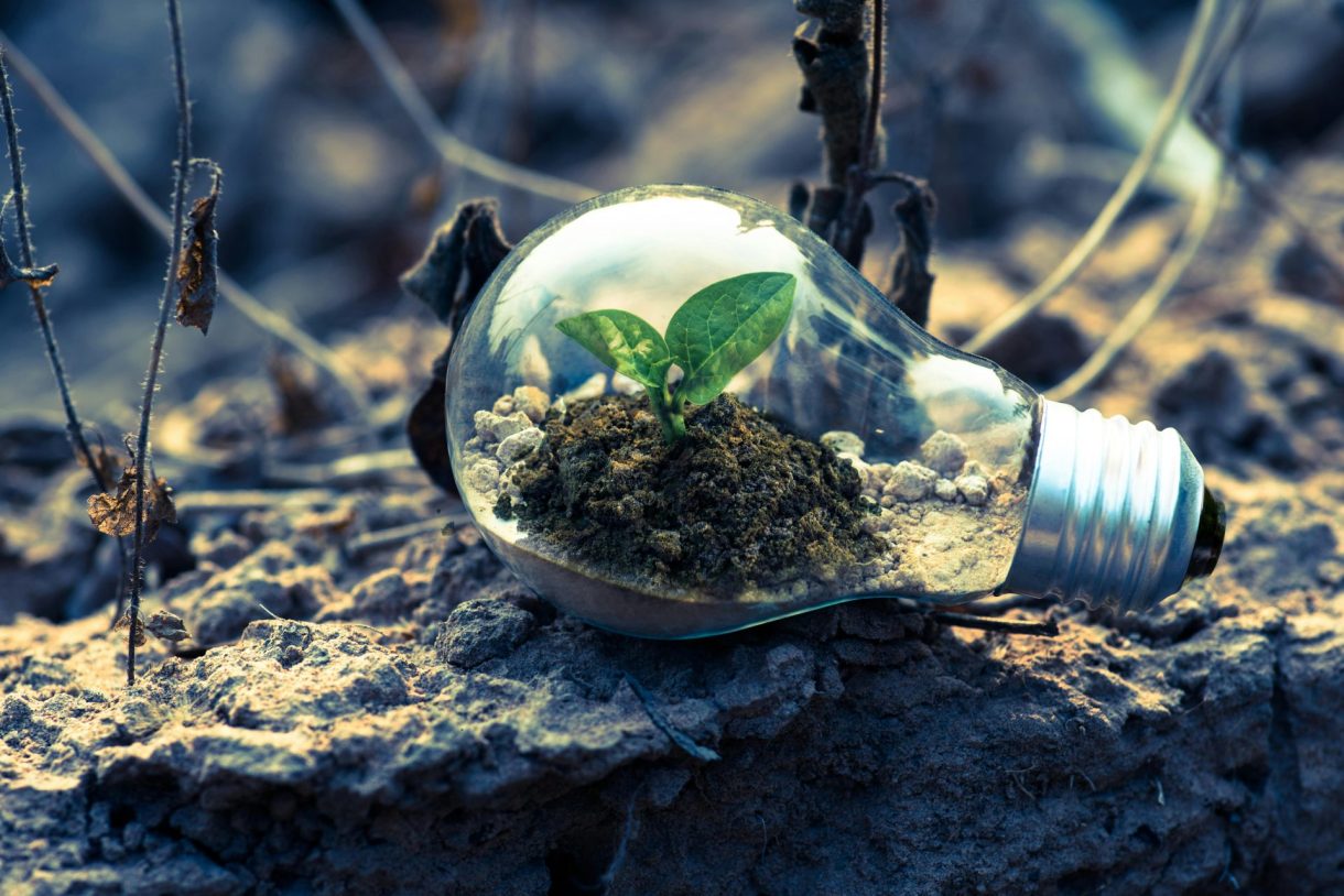 Países en conflicto por 700.000 millones anuales para restaurar la naturaleza ¿De dónde sale el dinero?