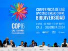 COP16: El mundo se rezaga en los objetivos de biodiversidad para 2030