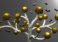 Cover Suggestion1 Cu Tree Flower