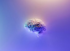 Milad Fakurian 58z17lnvs4u Unsplash