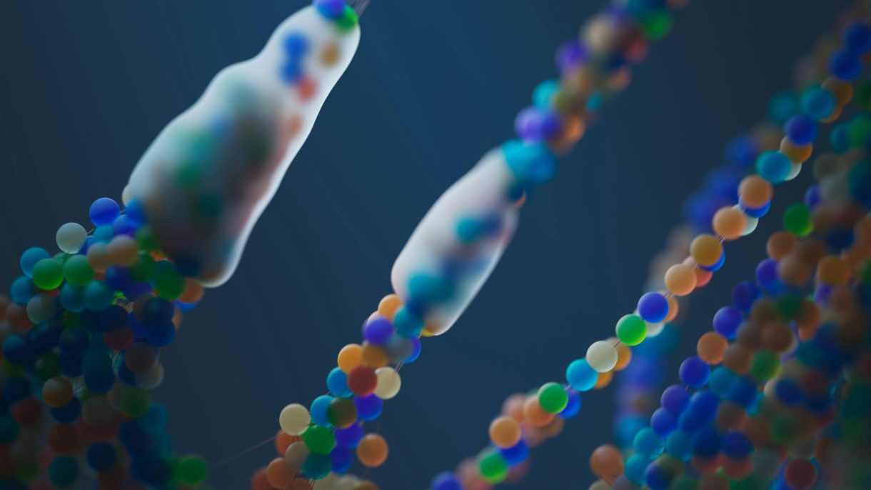 Científicos descubren que la evolución puede simplificarse para crear formas de vida más avanzadas