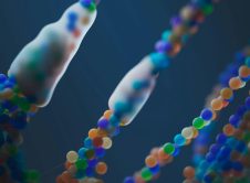 Pexels Googledeepmind 25626515