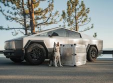 Pexels Impact Dog Crates 1789722873 28468181