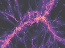 Researchers Capture Di 1