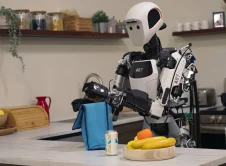 Gemini Robot