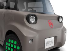 Ami Buggy Versiones 17