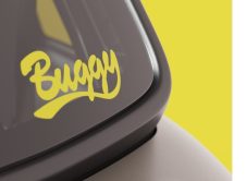 Ami Buggy Versiones 48