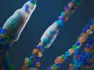 Newlimit recauda 130 millones para rejuvenecer células humanas con biotecnología