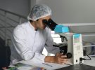 Ratones viven un 30% más con una combinación de medicamentos anticáncer