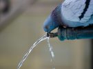 Suecia esconde el mayor caso de contaminación química del mundo: el agua que envenenó a un pueblo entero