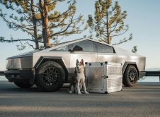 Pexels Impact Dog Crates 1789722873 28468181