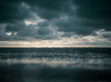 Pexels Joshsorenson 1154510