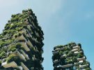 La agricultura vertical es el futuro de las ciudades verdes