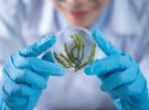 Andalucía prepara una ley para proteger la ciencia y la innovación con 238 millones de euros