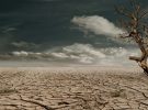El planeta se oscurece mientras el humo de incendios crea nueva contaminación invisible