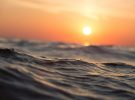La base invisible de los ecosistemas marinos no resistirá temperaturas oceánicas más cálidas