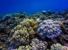 Pexels Cahilrom 3041870