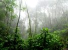 Los «ríos voladores» del Amazonas se debilitan por la deforestación