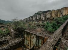 Pexels Denniz Futalan 339724 13119027