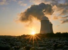 Pexels Distelapparath 3044470