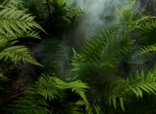 Pexels Elias Tigiser 411757 2757549