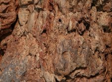 Pexels Enginakyurt 34313546