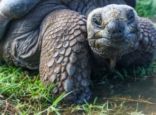 Pexels Magda Ehlers Pexels 1201431