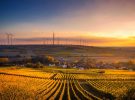Europa pierde cada día 600 campos de fútbol de naturaleza y cultivos por la construcción