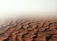 Pexels Sanat Anghan 25736600 9683057