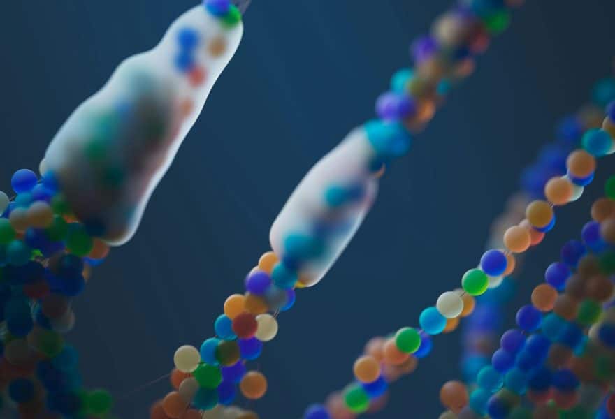 La UE avala la seguridad de Fermotein, un hito para las proteínas alternativas