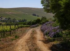 Pexels Magda Ehlers Pexels 34410135