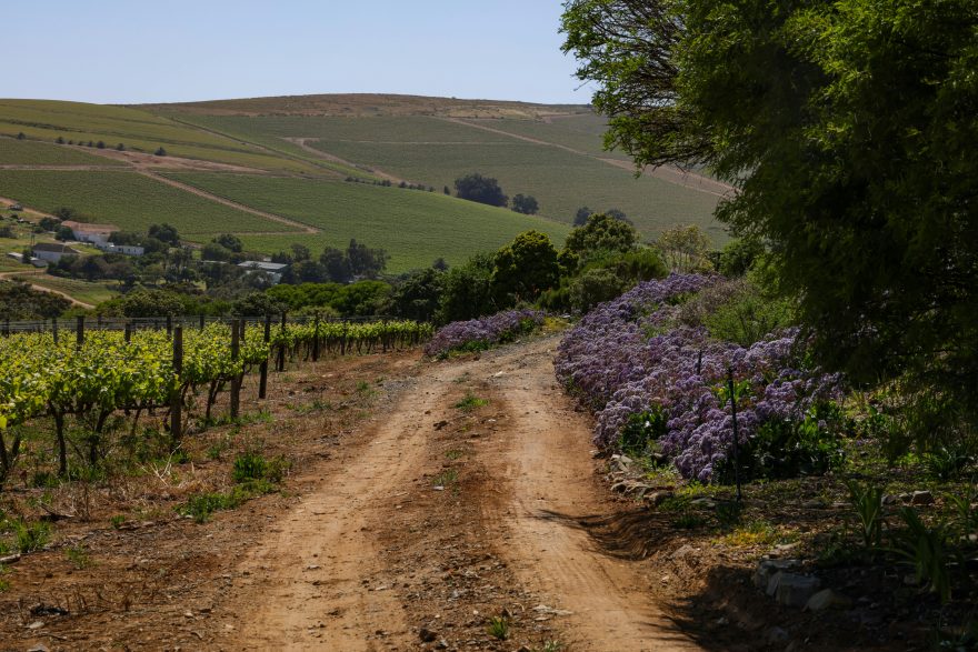 Pexels Magda Ehlers Pexels 34410135