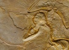 Pexels Marcusl 3839557 (1)